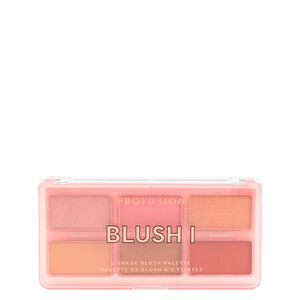 Palette Blush I