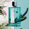 Le Rem Limited Edition 1996 Reminiscence