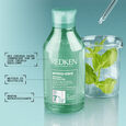 Amino Mint Redken