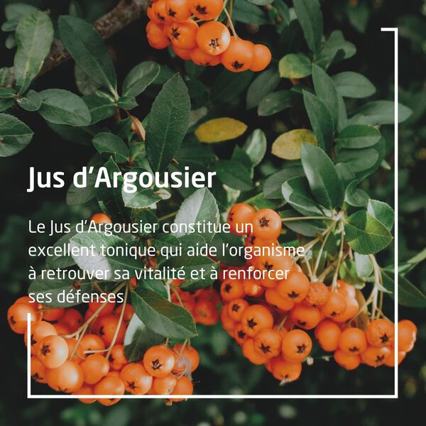 Jus d'Argousier Weleda