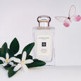 Orange Blossom Jo Malone London