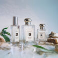 Wood Sage & Sea Salt Jo Malone London