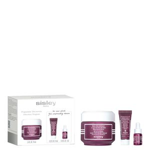 Programme D&eacute;couverte Rose Noire