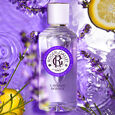 Lavande Royale Roger&Gallet