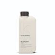 BLOW DRY WASH Kevin Murphy