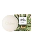 Atelier des Fleurs - Cedrus Chlo&eacute;
