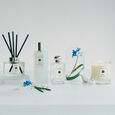 Wild Bluebell Jo Malone London