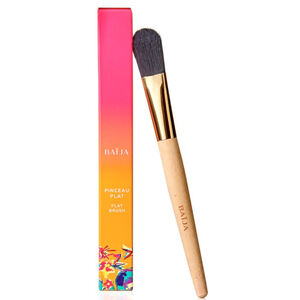 Pinceau Plat