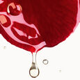 N&deg;1 DE CHANEL AU CAM&Eacute;LIA ROUGE Chanel