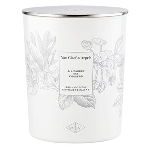 A l'Ombre des Figuiers