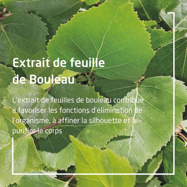 Jus de Bouleau Bio Weleda