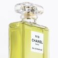 N&deg;19 Chanel