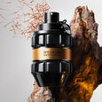 Spicebomb Extreme Viktor & Rolf