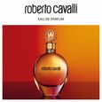 Cavalli Roberto Cavalli