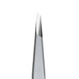 Lash Brow Staleks