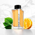 Patchouli Ink Montblanc