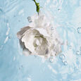 HYDRA BEAUTY CAMELLIA Chanel