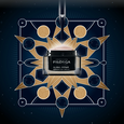 Global-Repair Filorga