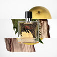 Terre d&rsquo;Herm&egrave;s Herm&egrave;s
