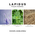 Lapidus pour Homme Ted Lapidus