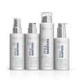 Style Masters Reset Revlon Professional
