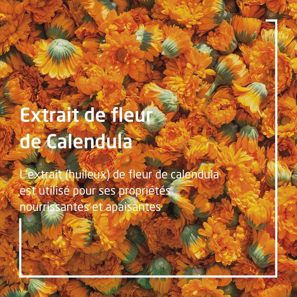 Calendula Goût Anis Weleda