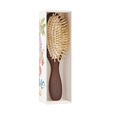 Brosse de Voyage Christophe Robin