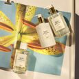Atelier des Fleurs - Cedrus Chlo&eacute;