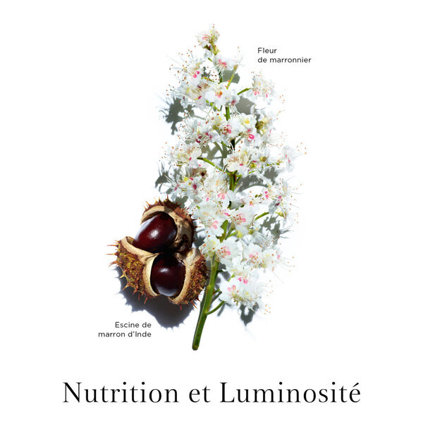 Nutri-Lumière Jour Clarins