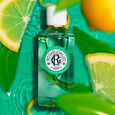 Th&eacute; Vert Roger&Gallet