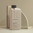 BLOW DRY RINSE Kevin Murphy