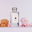 Nectarine Blossom & Honey Jo Malone London
