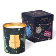Fir Trudon