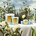 Versailles Trudon