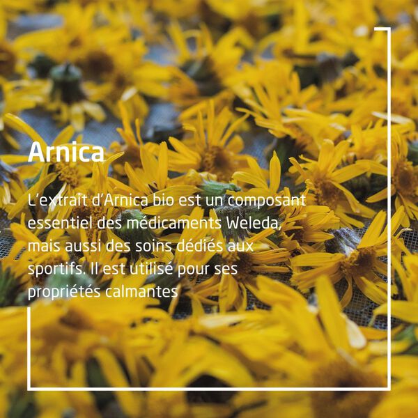 Arnica Crème Weleda