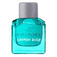 Canyon Rush For Him Hollister
