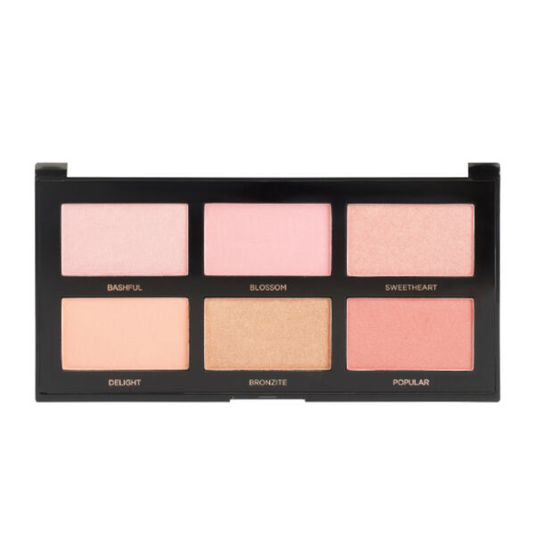 Palette Blush I Profusion Cosmetics