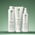 Strength Recovery Biolage