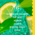 Thé Vert Roger&Gallet