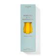 Bougies de la Madeleine Trudon