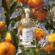 Mandarine Basilic Guerlain