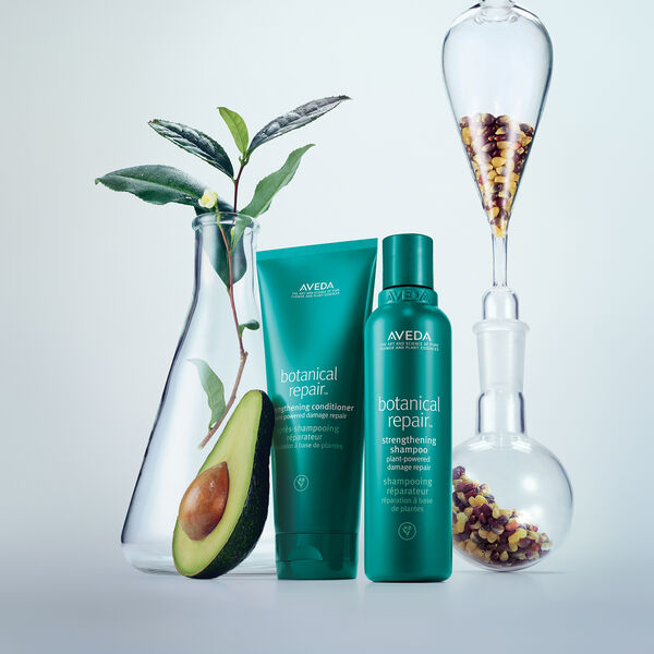 BOTANICAL REPAIR ™ Aveda