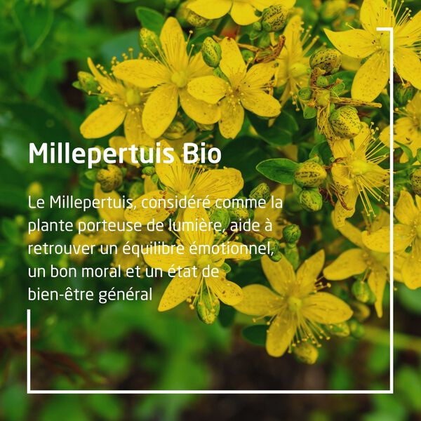 EPB® Millepertuis Bio Weleda