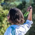 Les Essentiels V&eacute;g&eacute;talement Provence