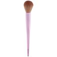 Blush & Highlighter Brush Essence