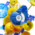 Bois de Santal Roger&Gallet