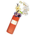 Carnval Musk Pascal Morabito