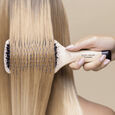 La Brosse Hair Rituel By Sisley