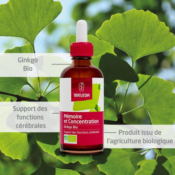 EPB® Ginkgo Bio Weleda