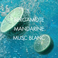 Vibration Bergamote Biotherm